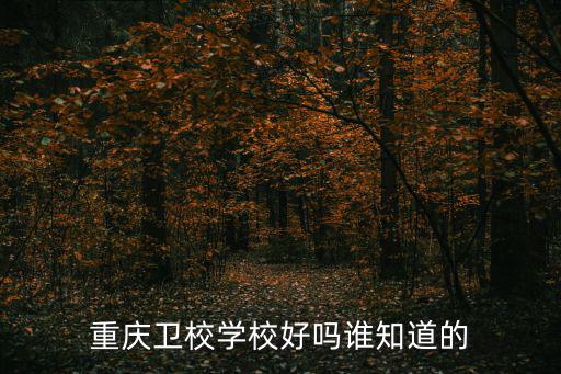 重慶市開縣衛生職業學校，開縣的那個職業學校最好呀
