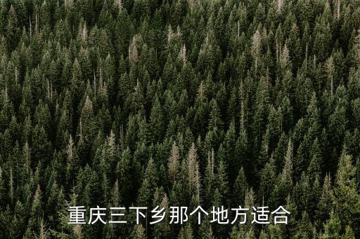 重慶三下鄉(xiāng)那個地方適合