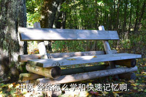 中醫經絡,我的理解:人體十二經絡如同地球赤道零度