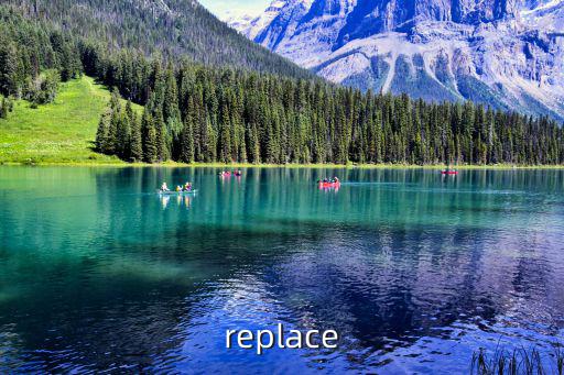 replace