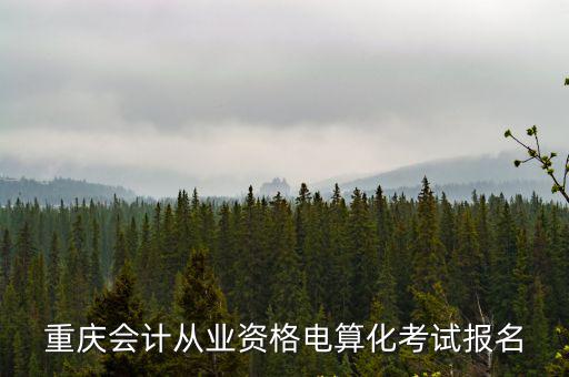 重慶會計從業(yè)資格電算化考試報名