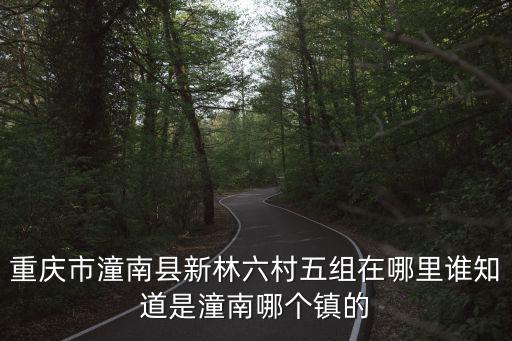 重慶市潼南縣新林六村五組在哪里誰知道是潼南哪個鎮的