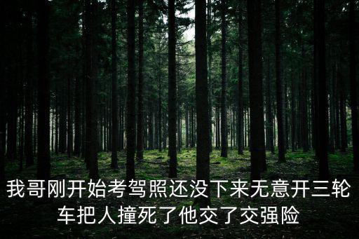 我哥剛開始考駕照還沒下來無意開三輪車把人撞死了他交了交強險