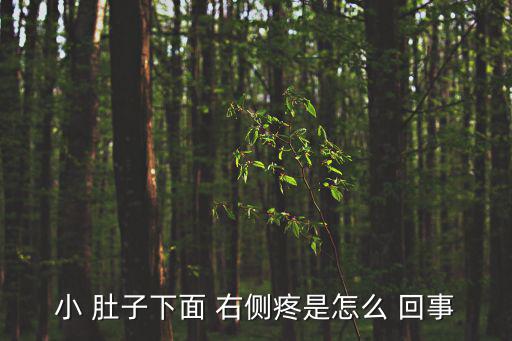 右側肚子疼是怎么回事女性,婦女下腹疼痛可能是盆腔炎引起
