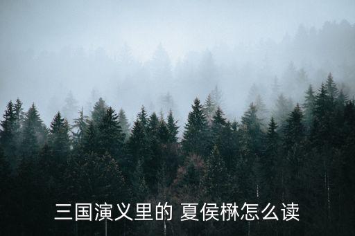 夏侯惇墓,曹魏大將夏侯元之墓在許昌何莊