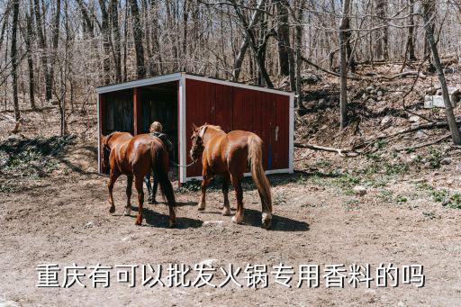 重慶市菜園壩臘肉調料，菜園壩調料市場在哪