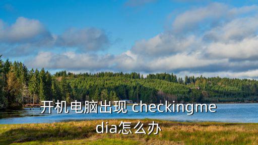 checking,電腦出現(xiàn)病例怎么辦?可以這樣做!
