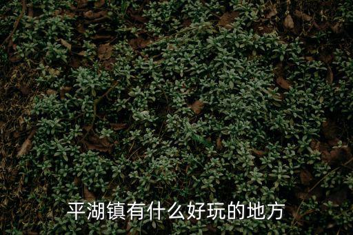 重慶市巫山縣平湖鄉龍塘村，平湖鎮有什么好玩的地方