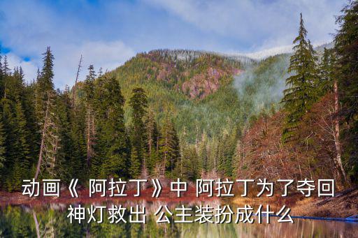 動畫《 阿拉丁》中 阿拉丁為了奪回 神燈救出 公主裝扮成什么