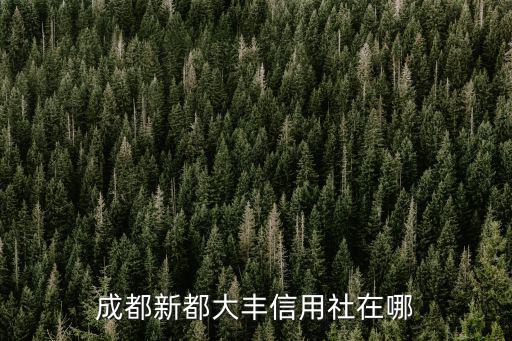 成都新都大豐信用社在哪