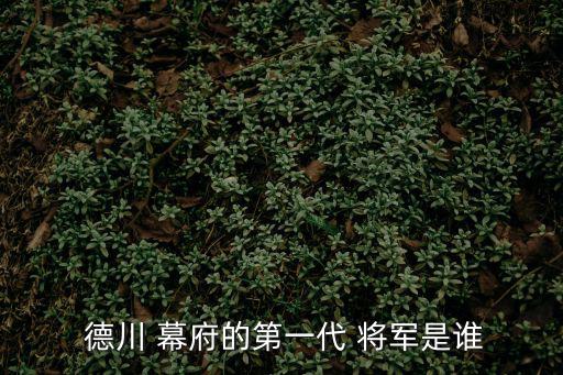  德川 幕府的第一代 將軍是誰