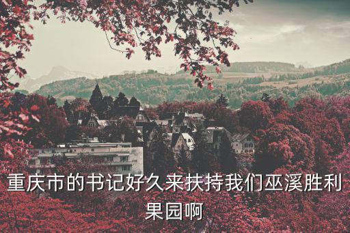 重慶市的書記好久來扶持我們巫溪勝利果園啊