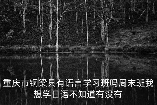 重慶市銅梁縣有語言學(xué)習(xí)班嗎周末班我想學(xué)日語不知道有沒有