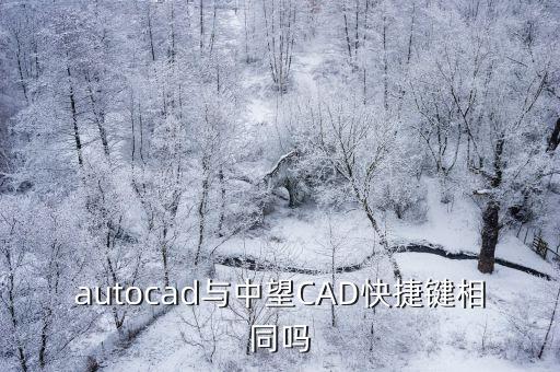 中望cad快捷鍵，中望cad2009自定義怎么快捷鍵啊