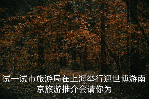 試一試市旅游局在上海舉行迎世博游南京旅游推介會(huì)請(qǐng)你為