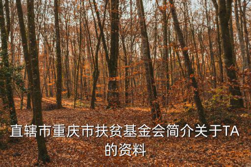 直轄市重慶市扶貧基金會簡介關于TA的資料