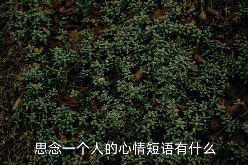  思念一個人的心情短語有什么