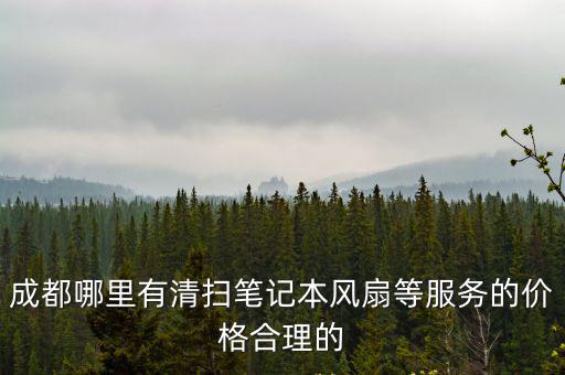 成都哪里有清掃筆記本風扇等服務的價格合理的