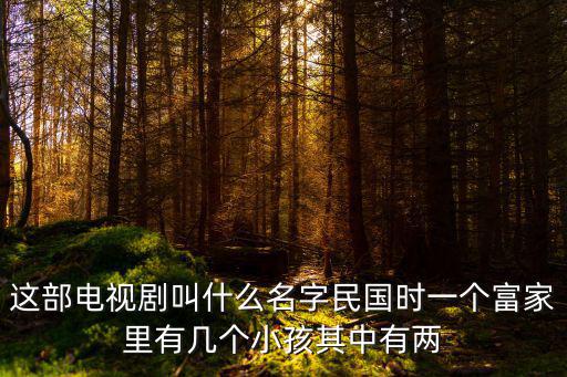 這部電視劇叫什么名字民國時一個富家里有幾個小孩其中有兩