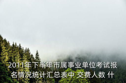 2011年下半年市屬事業單位考試報名情況統計匯總表中 交費人數 什