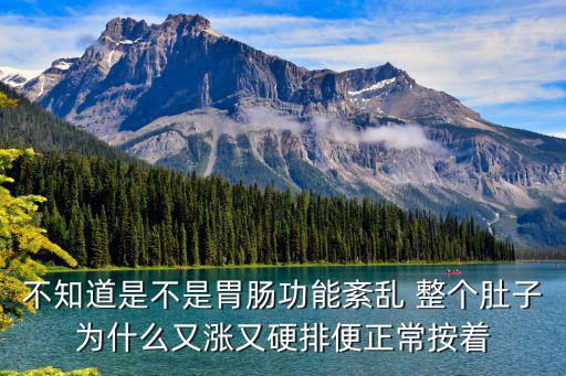 不知道是不是胃腸功能紊亂 整個肚子為什么又漲又硬排便正常按著