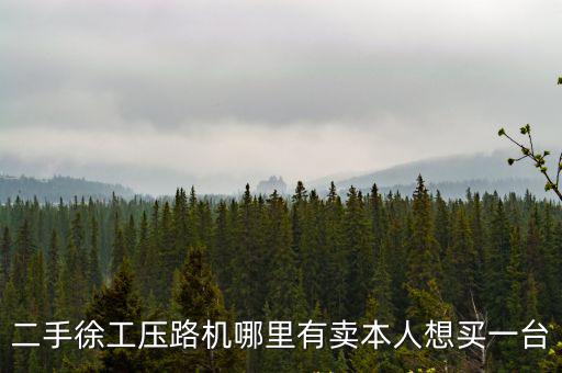 二手徐工壓路機哪里有賣本人想買一臺