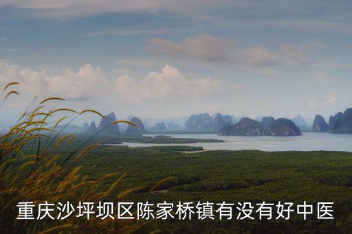 重慶沙坪壩區陳家橋鎮有沒有好中醫