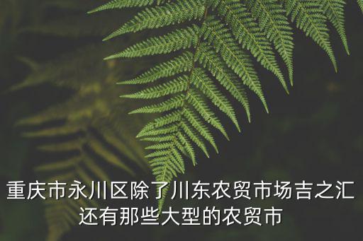 重慶市永川區除了川東農貿市場吉之匯還有那些大型的農貿市