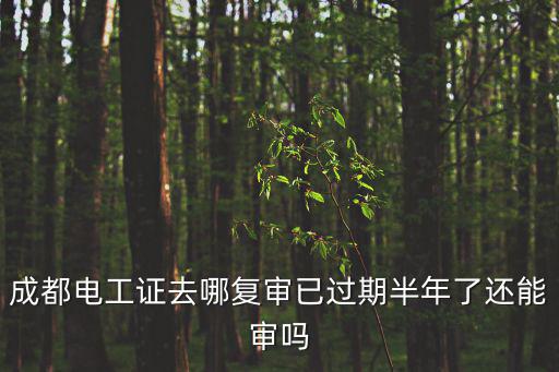 成都電工證去哪復審已過期半年了還能審嗎
