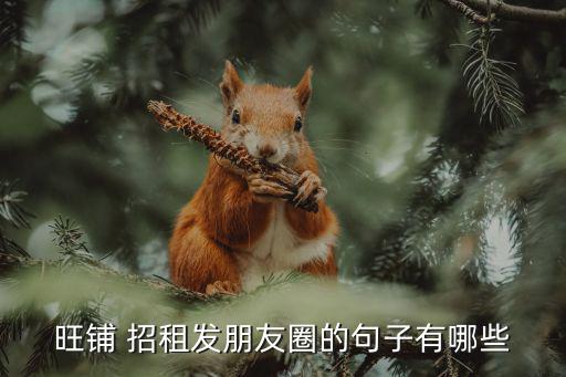 旺鋪 招租發(fā)朋友圈的句子有哪些