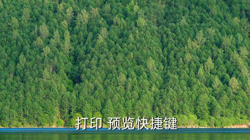  打印 預覽快捷鍵