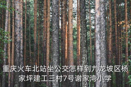 重慶火車北站坐公交怎樣到九龍坡區楊家坪建工三村7號謝家灣小學