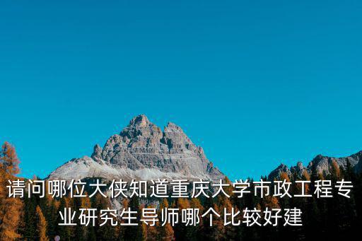 請問哪位大俠知道重慶大學市政工程專業研究生導師哪個比較好建
