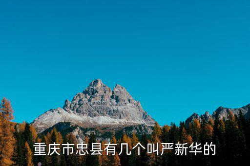 重慶市忠縣有幾個叫嚴新華的