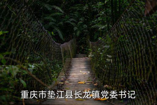 重慶市墊江縣長龍鎮黨委書記