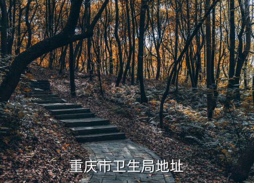 重慶市衛(wèi)生局地址