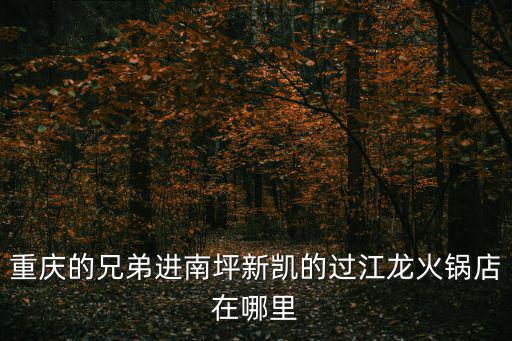 重慶市過江龍，歌手過江龍是哪里人