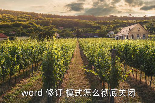 word修訂模式,如何完全關閉分步閱讀1/3點擊查看文檔