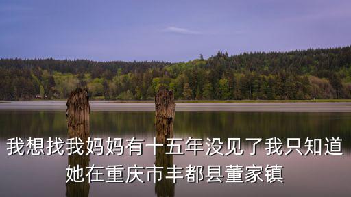 我想找我媽媽有十五年沒見了我只知道她在重慶市豐都縣董家鎮