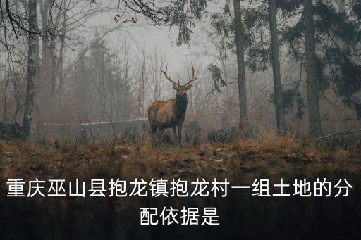 重慶市巫山縣抱龍鎮桃花利村，重慶市巫山縣抱龍鎮紫鵝村低保名額