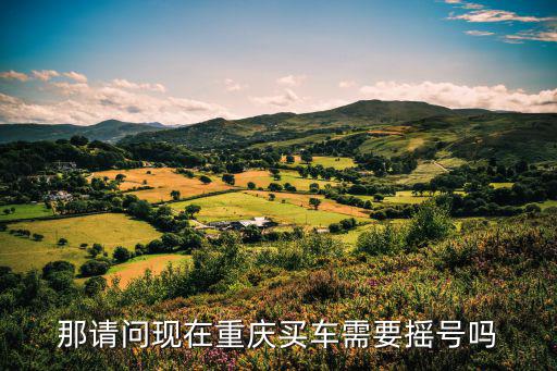 那請問現在重慶買車需要搖號嗎