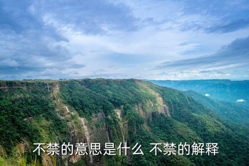  不禁的意思是什么 不禁的解釋