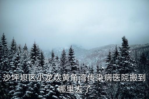 沙坪壩區(qū)小龍坎黃角灣傳染病醫(yī)院搬到哪里去了
