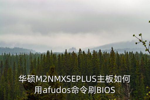 華碩M2NMXSEPLUS主板如何用afudos命令刷BIOS