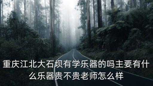 重慶江北大石壩有學樂器的嗎主要有什么樂器貴不貴老師怎么樣
