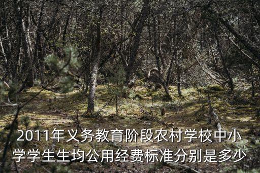 2011年義務(wù)教育階段農(nóng)村學(xué)校中小學(xué)學(xué)生生均公用經(jīng)費(fèi)標(biāo)準(zhǔn)分別是多少