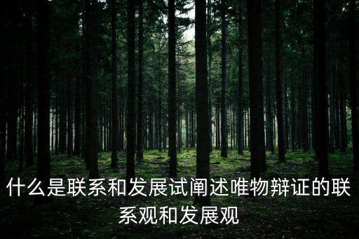 聯(lián)系觀,辯證法:連接觀點(diǎn)是矛盾統(tǒng)一論的核心