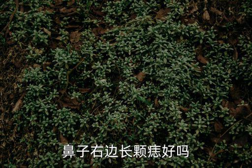 鼻子右邊長顆痣好嗎
