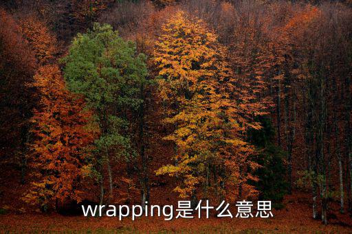 wrap什么意思,本地網紅推出塑料版主打減肥神器