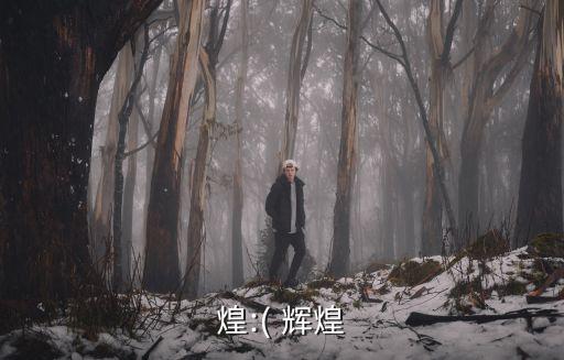 輝煌拼音,五筆短語輸入規(guī)則:由兩個碼組成的四個碼
